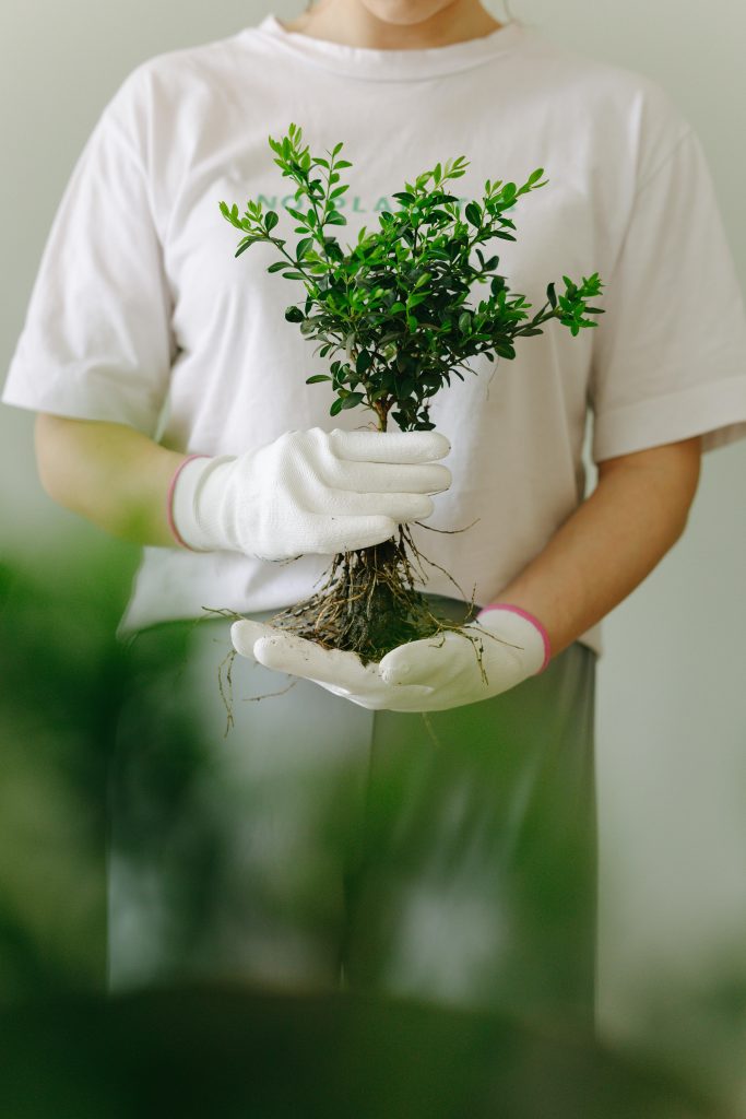 Person wearing gloves holding a green plant with roots, symbolizing sustainability and care.